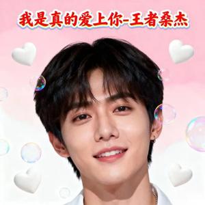 我是真的爱上你 (DJ子涵版)