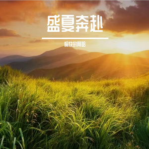 盛夏奔赴