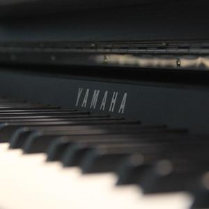 sajou no hana-青嵐のあとで（Eriri·Sora remix）