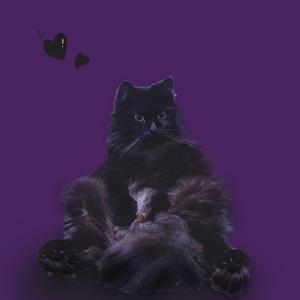 Свободу котам