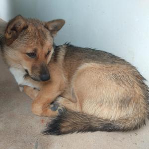 你是我最愚蠢的一次浪漫