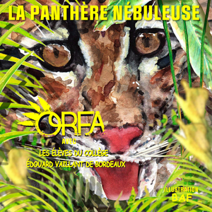 La Panthère Nébuleuse (en collaboration avec les élèves du Collège Édouard Vaillant de Bordeaux)