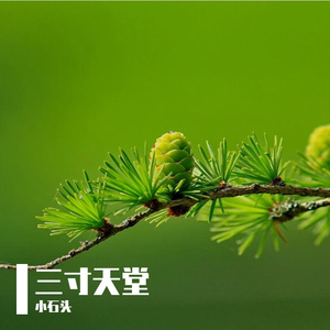 瞬间就消失无踪