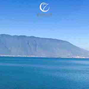 风轻拂 (手碟｜静心曲)