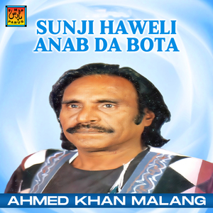 Sunji Haweli Anab Da Bota Ho Gankhana Zindagi