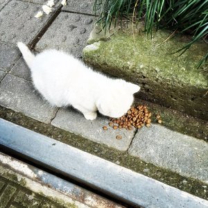 谎言和我们都到此为止