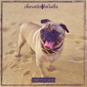 เพื่อนสนิท คิดไม่ซื่อ