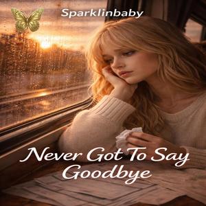 Never Got To Say Goodbye