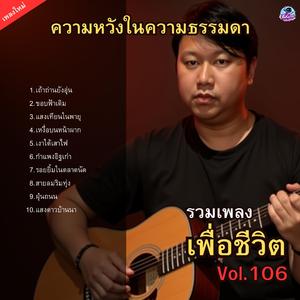 ฝุ่นถนน