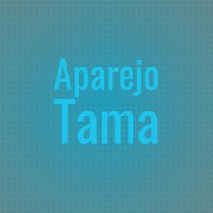Aparejo Tama
