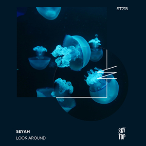 Look Around (Extended Mix)