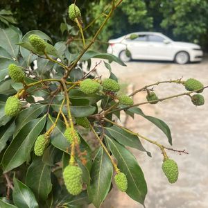 成长代沟