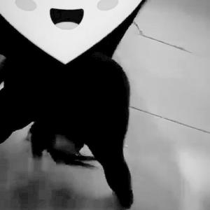 What it do? (feat. Rpuprackzz)