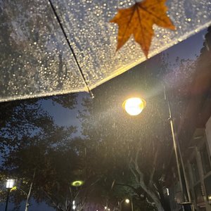 《摊开的回忆》