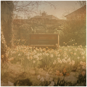 Nocturnes, Op. 48: No. 2 in F-Sharp Minor (Andantino)