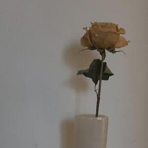 我要我们在一起