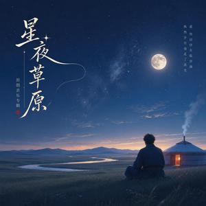 星夜草原
