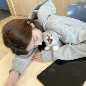 妮蔻一字义忘本摇