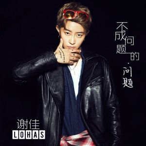 不成问题的问题