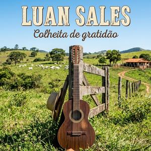 Colheita de gratidão