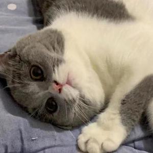 摆烂之歌Prod.LUIEFLY