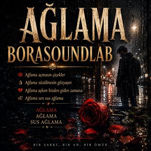 Ağlarsın