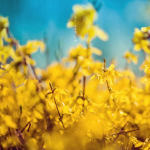 힘든 하루의 끝에