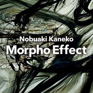 Morpho Effect
