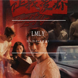 LMLY（LIN ROCK Bootleg）