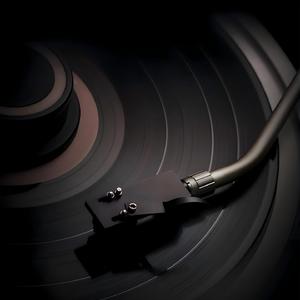 白鸽乌鸦相爱 (经典影视配乐纯音乐)