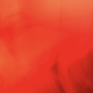 The World Is Burning