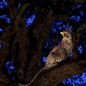 全新口水旋律24