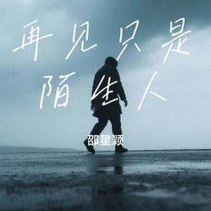 再见只是陌生人 (Cover 庄心妍)
