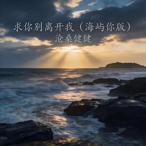 求你别离开我（海屿你版）