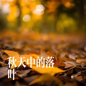 秋天中的落叶