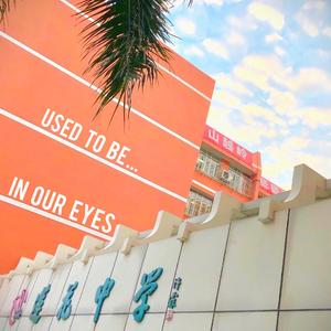 Used To Be In Our Eyes