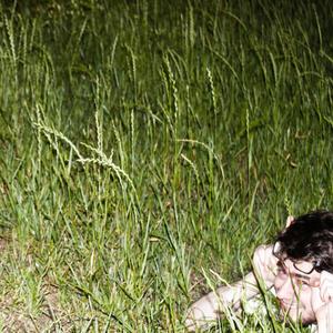 Between the trees (Jungle level)