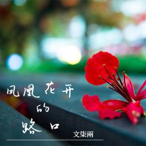 凤凰花开的路口