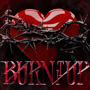BURN IT UP