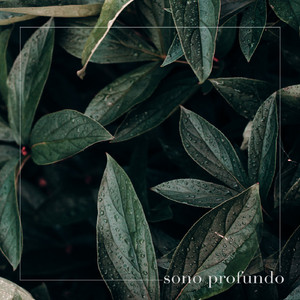 Chuva torrencialmente