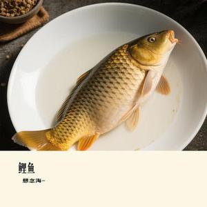 鲤鱼