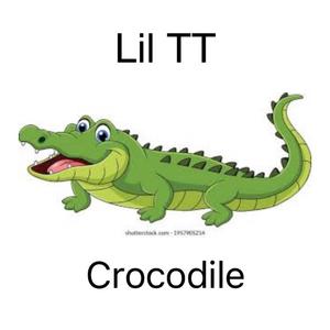 Crocodile