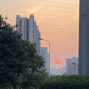 爱永在 钢琴伴奏