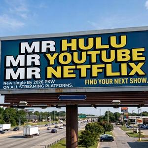 Mr Hulu Youtube Netflix