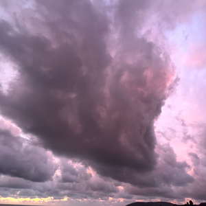 cod up in it (2024) (Demo)