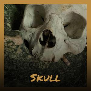 Hydropower Reflexology