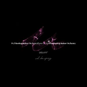 植物大战僵尸屋顶-室内管弦乐(北方联合乐团)PvZ Rooftop Indoor Orchestra