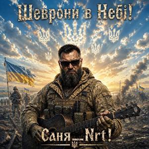 Шеврони в небі !
