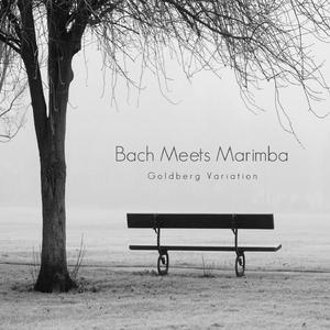 Goldberg Variation in G Major Bwv 988: Variation 30. a 1 Clav. Quodlibet