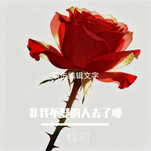 非我不娶的人去了哪